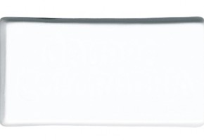 0147 Artic wihite
