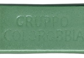 0244 Sage leaf