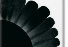black ml.30