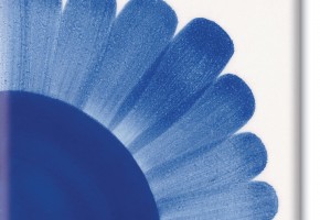 celestial blue ml.30