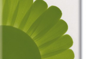 lesf green ml.30