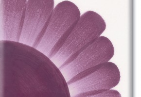 violet ml.30