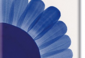 royal blue ml.30